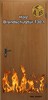 Bild für Kategorie Brandschutztüren 